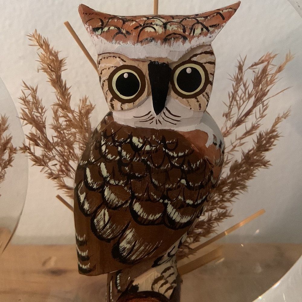 Vintage Mid-Century Hand Carved Wooden Owl Encased in Lucite Shaped Moon - Picture 6 of 8